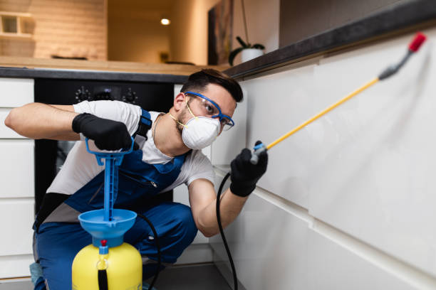 Best Best Pest Control Near Me  in Dooms, VA