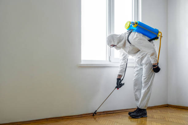 Best Termite Control Services  in Dooms, VA