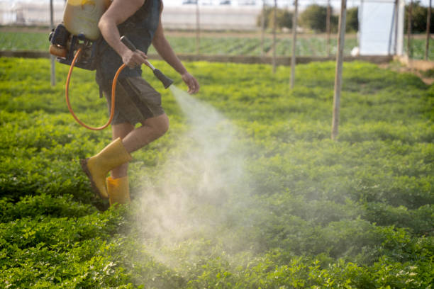 Best Pest Control Cost  in Dooms, VA
