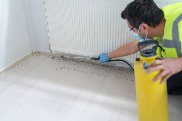 Best Cockroach Control Services  in Dooms, VA