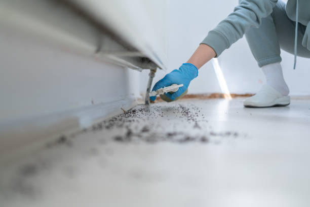 Best Pest Control Near Me in Dooms, VA